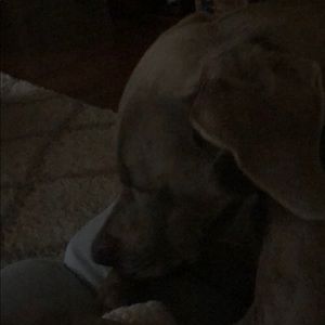 Meet your Posher, Marcie